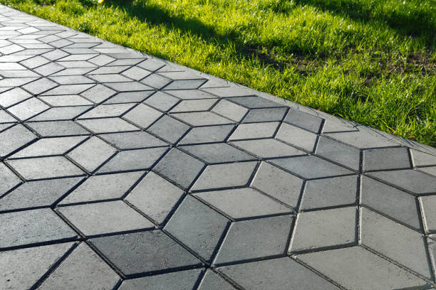 Best Decorative Driveway Pavers  in Holly Hill, FL